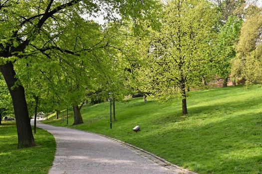 Beautiful green spring park. The journey nature.