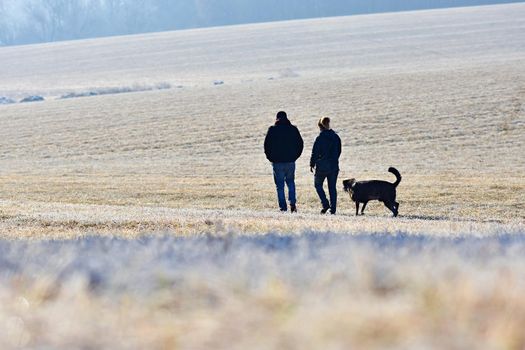 Walking the dog. Beautiful winter seasonal  background in nature.