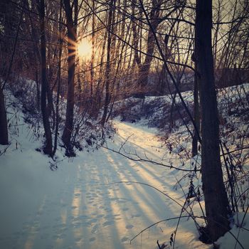 Winter landscape - frosty trees. Nature with snow. Beautiful seasonal natural background.