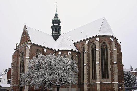 Beautiful old temple-church. Basilica of the Assumption. Virgin Mary. Brno Czech Republic. (Basilica minor) Winter landscape - frosty trees. 