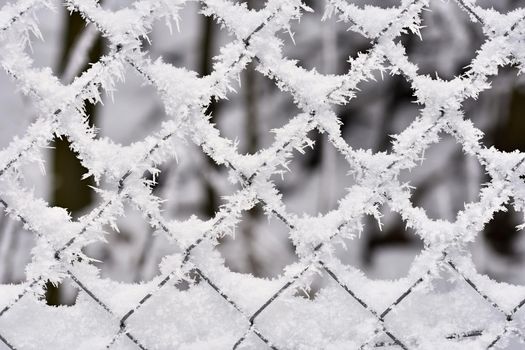 Icy fence. Beautiful winter seasonal abstract background.