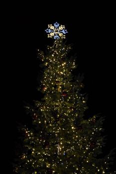 Beautiful Christmas tree at night.