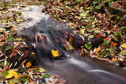 Beautiful autumn nature with a stream.
Autumn leaves. Natural seasonal colored background