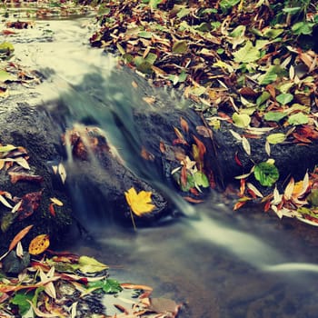 Beautiful autumn nature with a stream.
Autumn leaves. Natural seasonal colored background