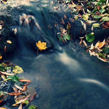 Beautiful autumn nature with a stream.
Autumn leaves. Natural seasonal colored background