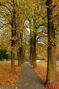 Beautiful romantic way in a park with colorful trees. Autumn natural background landscape.