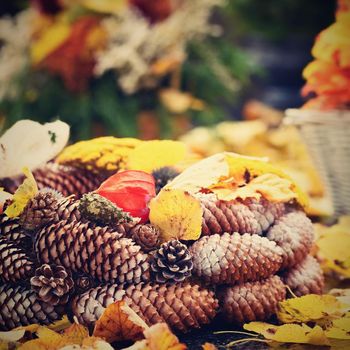 Autumn nature concept. Beautiful autumn decorations. Colorful autumn flowers at the cemetery - Halloween.