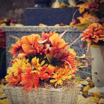 Autumn nature concept. Beautiful autumn decorations. Colorful autumn flowers at the cemetery - Helloween.