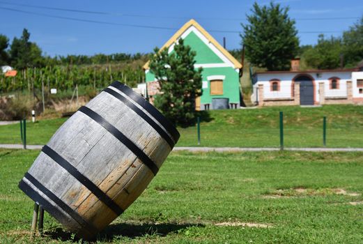 Wine region, south Moravia - Czech Republic.