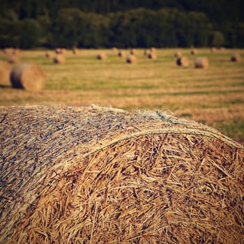 Beautiful countryside landscape. Hay bales in harvested fields. 