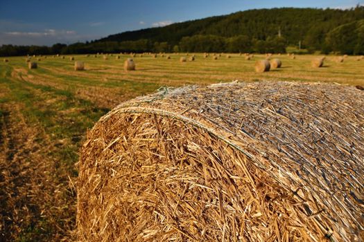 Beautiful countryside landscape. Hay bales in harvested fields. 