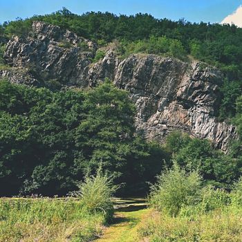 Beautiful natural background with rock and woods in the valley.