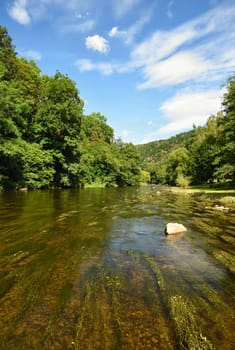 Beautiful summer landscape with river, forest, sun and blue skies. Natural background. Green.