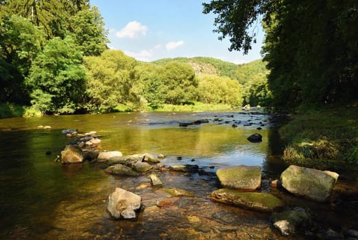 Beautiful summer landscape with river, forest, sun and blue skies. Natural background. Green.