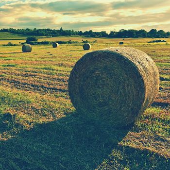 Hay bail harvesting in golden field landscape. Summer Farm Scenery with Haystack on the Background of Beautiful Sunset.