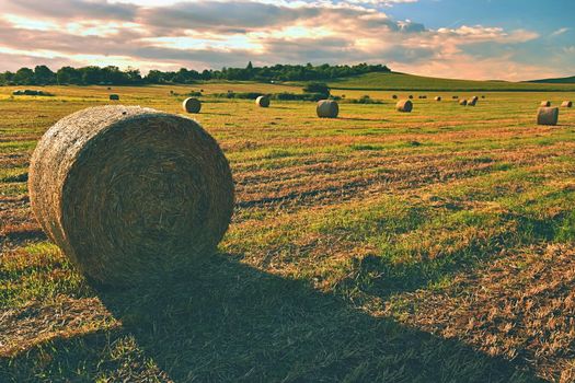 Hay bail harvesting in golden field landscape. Summer Farm Scenery with Haystack on the Background of Beautiful Sunset.