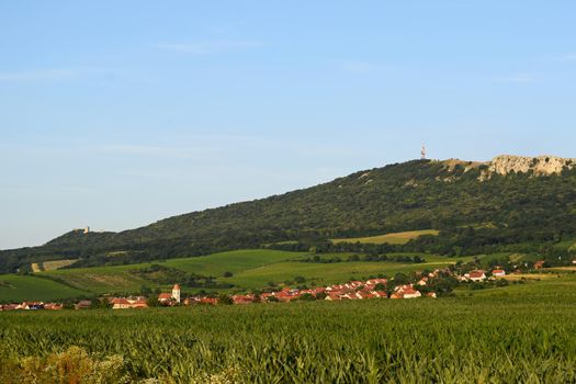 Vineyards under Palava. Czech Republic - South Moravian Region wine region.