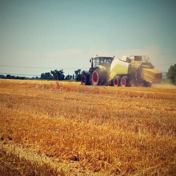 Harvester agriculture machine harvesting golden ripe corn field. Tractor - traditional summer background with an industrial theme.