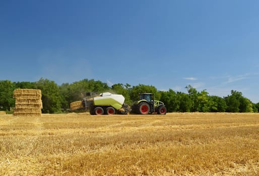 Harvester agriculture machine harvesting golden ripe corn field. Tractor - traditional summer background with an industrial theme.