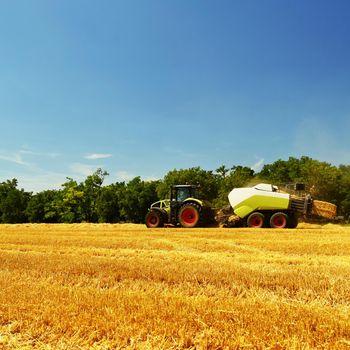 Harvester agriculture machine harvesting golden ripe corn field. Tractor - traditional summer background with an industrial theme.