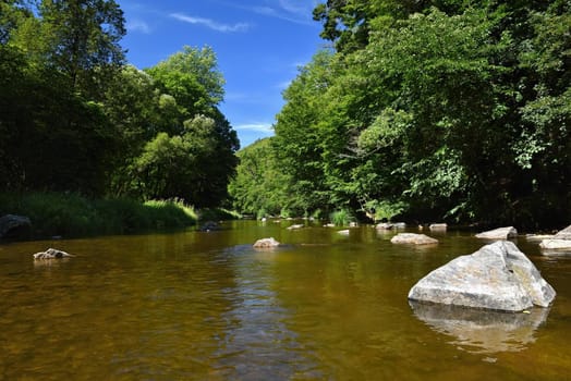 Beautiful summer landscape with river, forest, sun and blue skies. Natural background. Green.