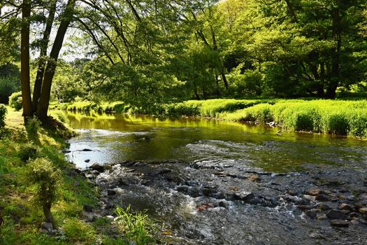 Oslava river. Beautiful landscape. Natural scenery with sky and clouds. Czech Republic, Europe.