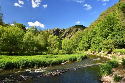 Oslava river. Beautiful landscape. Natural scenery with sky and clouds. Czech Republic, Europe.