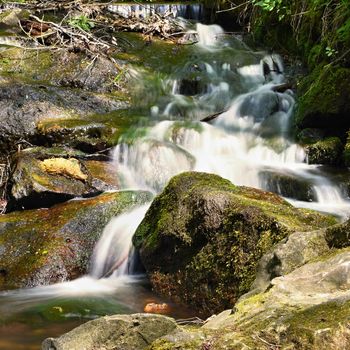 Beautiful nature with a river of rocks and forest. Outdoor colorful background with water.