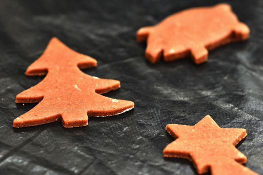Baking home made Christmas cookies. Classical Czech tradition. Concept for the winter season, food and Christmas holidays.