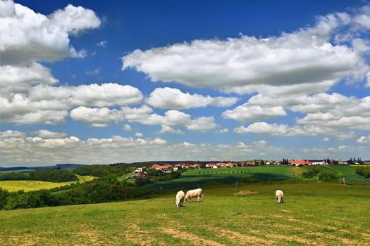 Beautiful landscape. Natural scenery with sky and clouds. Czech Republic.