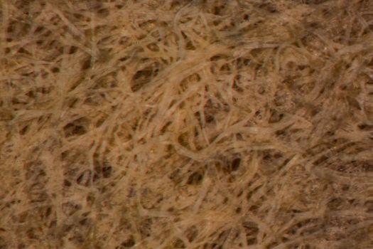Coffee filter with fibers and paper pores under the microscope