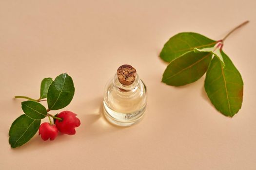 A bottle of essential oil with wintergreen twigs on pastel orange background