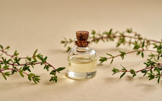 Essential oil bottle with fresh thyme on pastel yellow background, close up