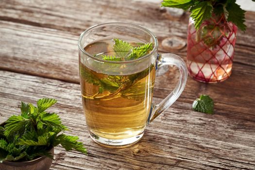 A cup of herbal tea with fresh green stinging nettles collected in spring