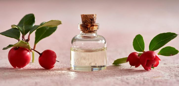 A bottle of essential oil with wintergreen leaves and berries on pink background