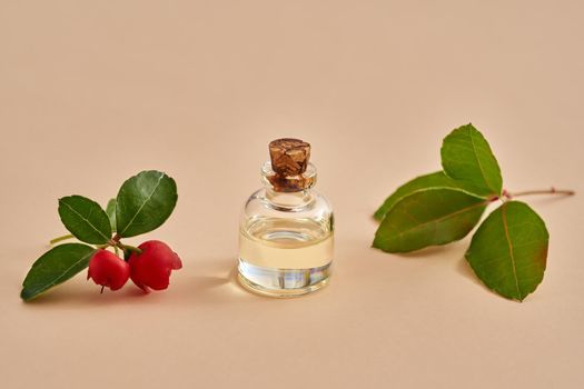 A bottle of essential oil with wintergreen leaves and berries on a pastel orange background