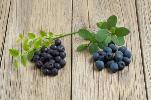 Two heaps of berries, biberries and blueberries, on a wooden table close-up.