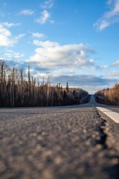 Straight road with a marking on the nature background. Open Road in future, no cars, auto on asphalt road through green forest, trees. Clouds on blue sky in summer, sunshine, sunny day. Bottom view