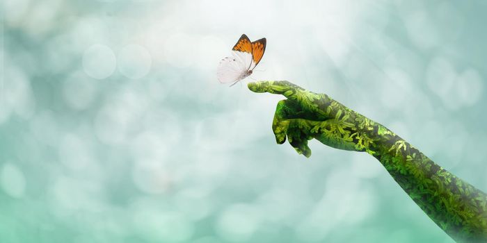 Green hand holding beautiful butterfly on bokeh light blue background. Ecology and Nature concept.