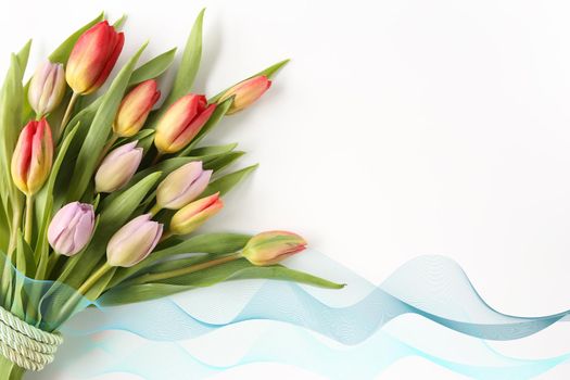 Bouquet of spring tulips on a white background with green ribbon. Isolated, copy space. Banner, cards, wallpaper, flyer, invitation, Mother's day, Women's Day, Easter, Valentines day .Greeting card.