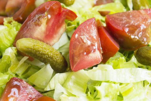 Lettuce salad with tomato and pickles. Raw food
