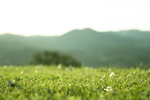 Defocused mountain landscape with focused grass foreground. No people