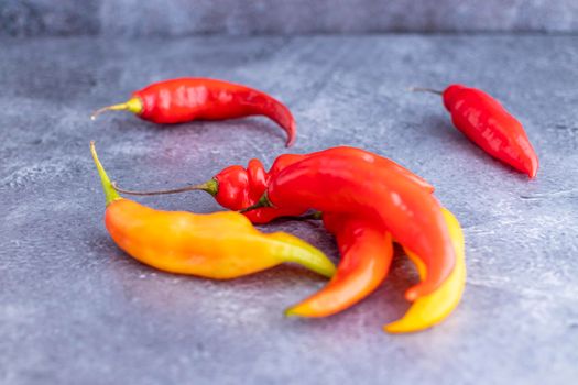 Presentation of Peruvian hot red chili (Aji Limo)