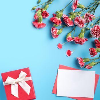Mother's Day gift. Top view design concept of holiday greeting card with red carnation bouquet on bright blue table background