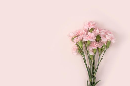 Design concept of Mother's day holiday greeting design with carnation bouquet on pastel pink table background