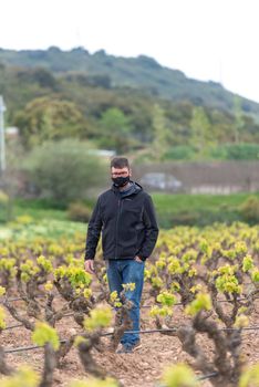 Vineyards in the La Rioja region of Spain in 2021.