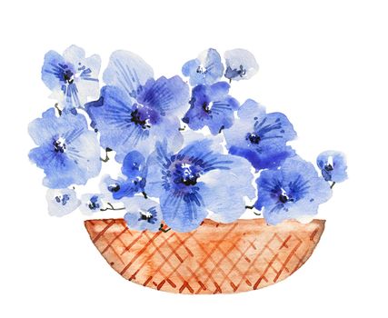 Watercolor illustration of blue flowers in wooden wicker basket on white background. Design for greeting card, invitation or cover.