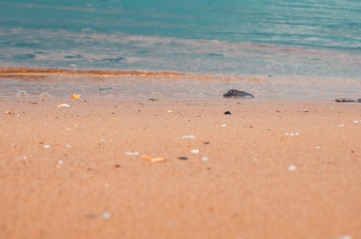 Sea beach in the tropics and the soft wave of the blue ocean. Summer gloomy day and sandy beach with stones background. The concept of summer vacation.