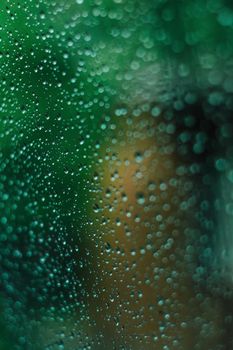 Water drops at gradient background, covered with water drops - close - up.