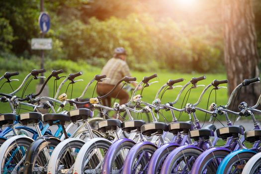 Row of bikes in rental agency, city mobility